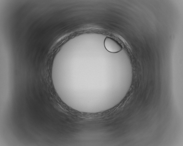 X0000112531112200908171139