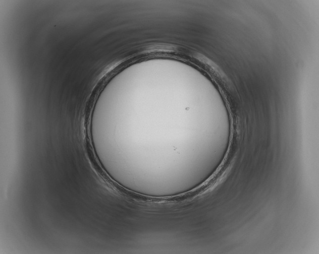 X0000112531113200908171139