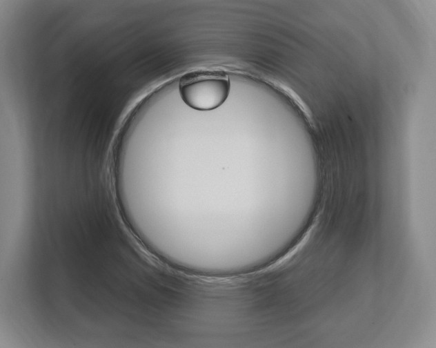 X0000112531114200908171139