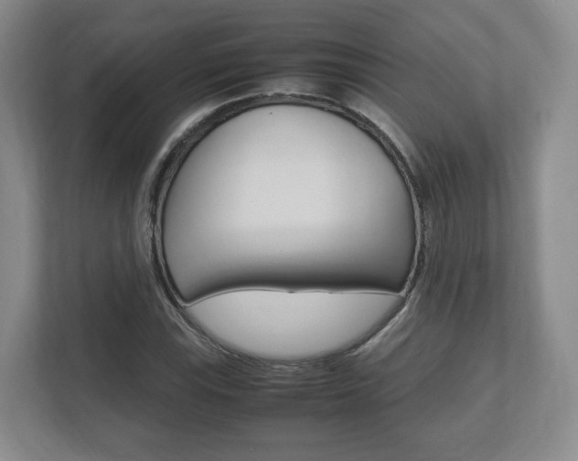 X0000112531115200908171139