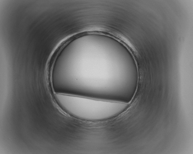 X0000112531116200908171139