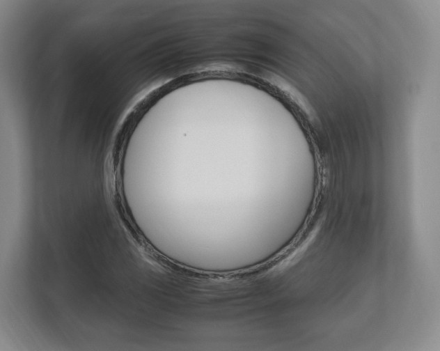 X0000112531117200908171139