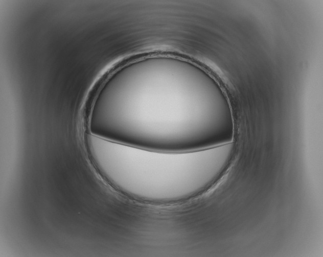 X0000112531118200908171139