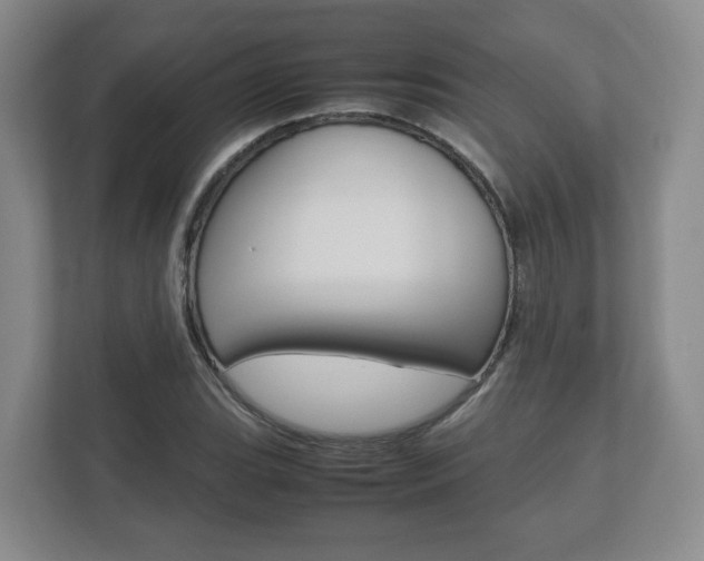 X0000112531119200908171139