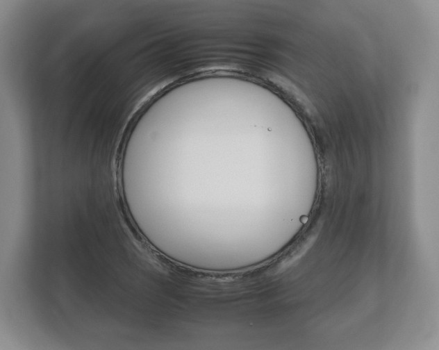 X0000112531121200908171139