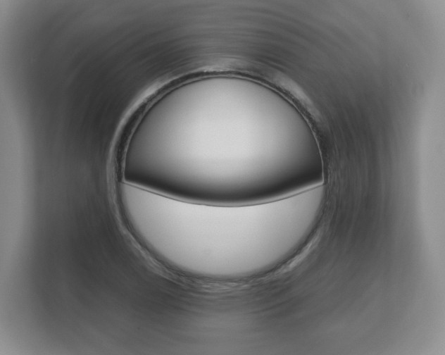 X0000112531122200908171139