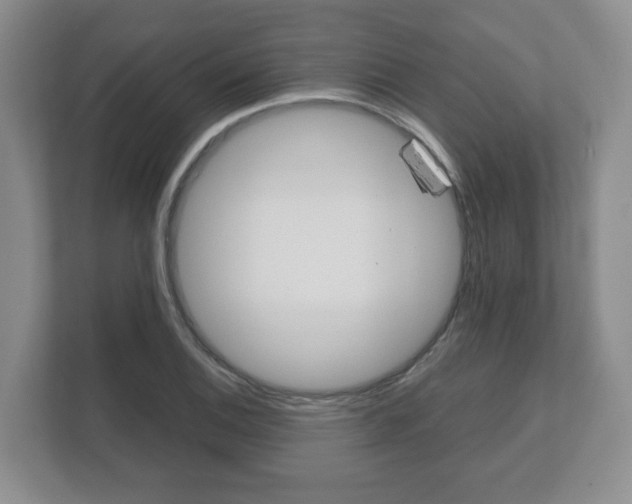 X0000112531124200908171139