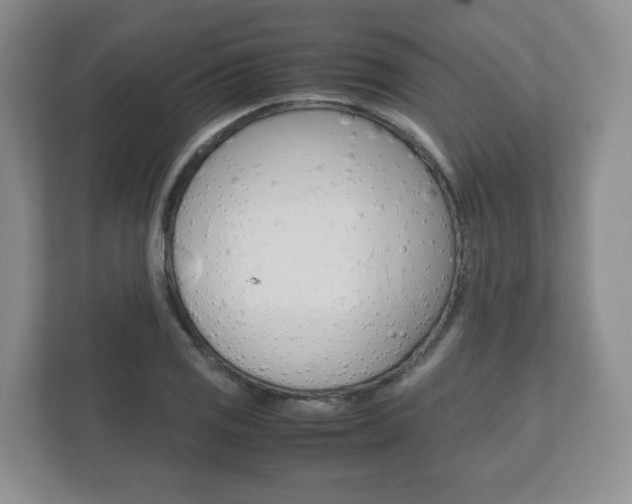 X0000112531125200908171139
