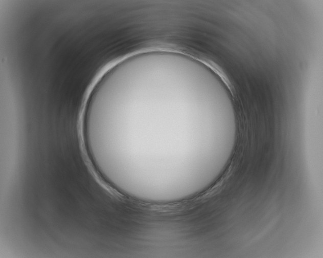 X0000112531128200908171139