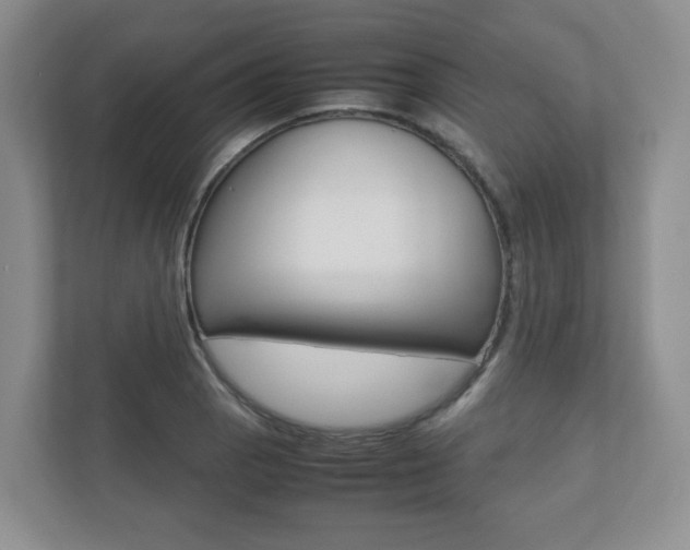 X0000112531129200908171139