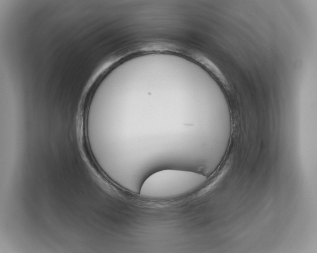 X0000112531130200908171139