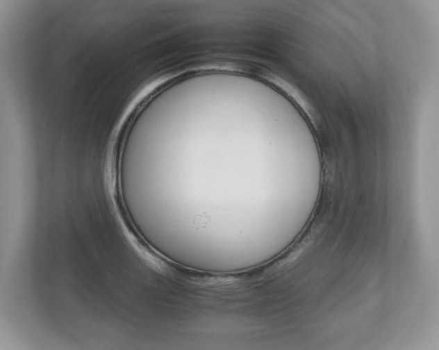 X0000112531131200908171139