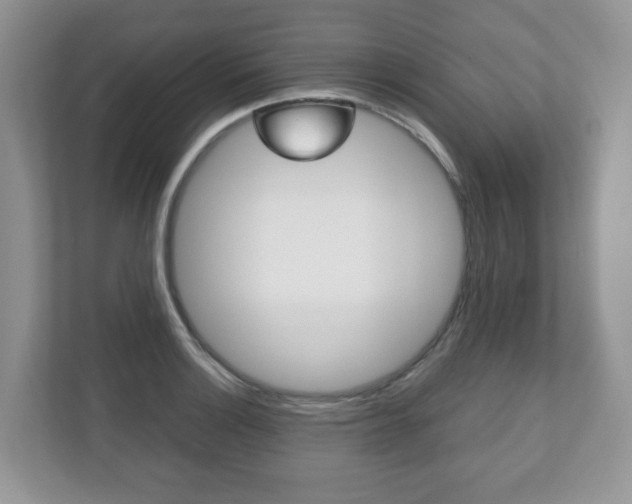 X0000112531132200908171139