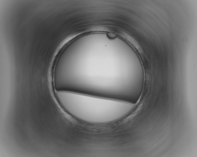 X0000112531133200908171139