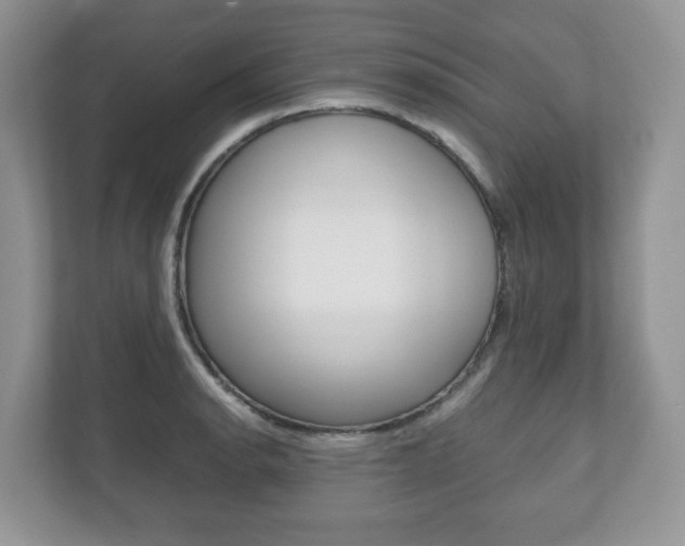 X0000112531134200908171139