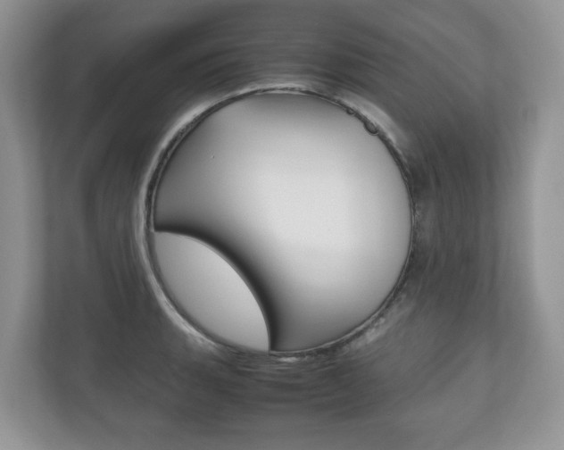 X0000112531135200908171139
