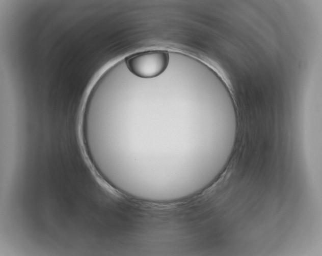 X0000112531136200908171139
