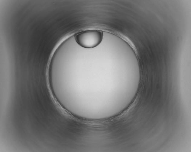 X0000112531138200908171139