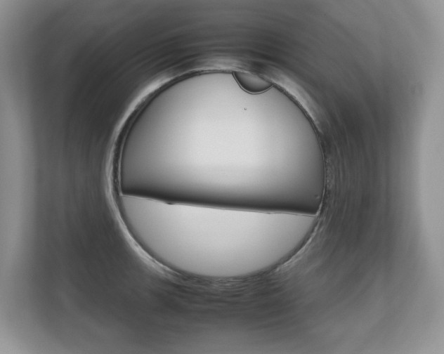 X0000112531139200908171139