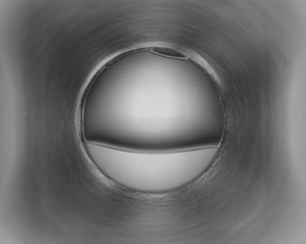 X0000112531140200908171139
