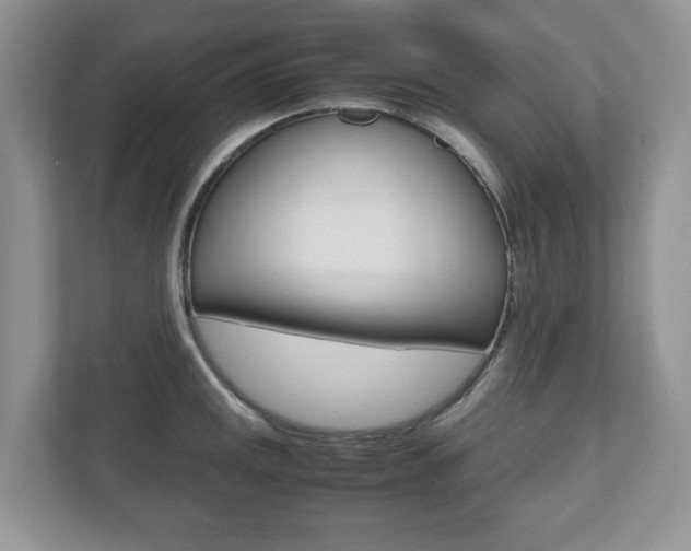X0000112531141200908171139