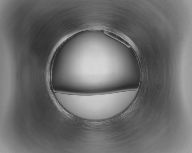 X0000112531144200908171139