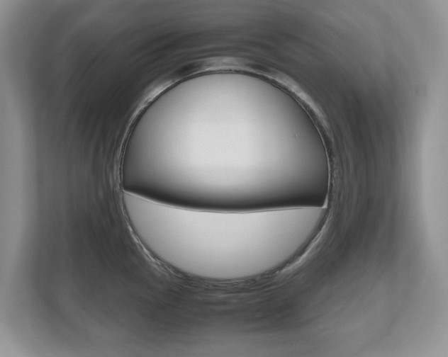 X0000112531145200908171139