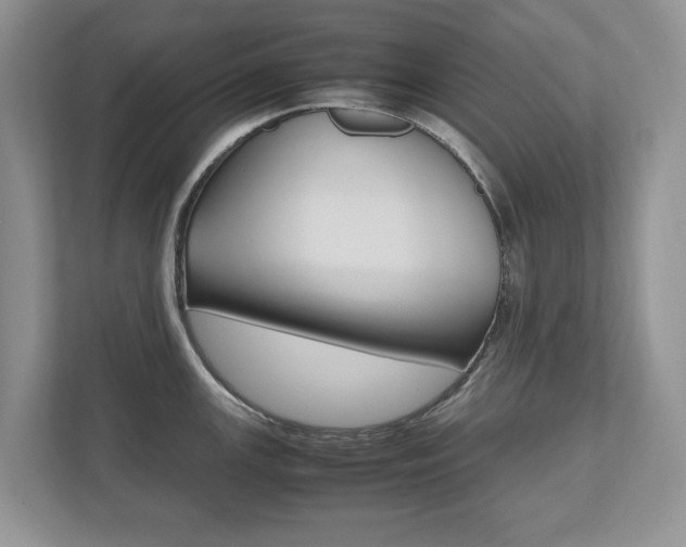 X0000112531147200908171139