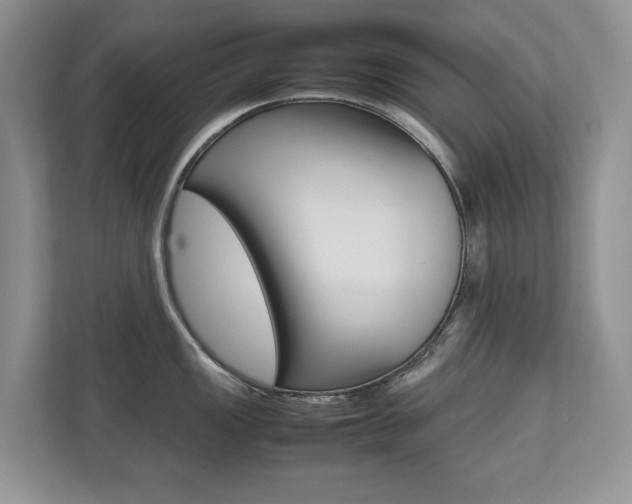 X0000112531149200908171139