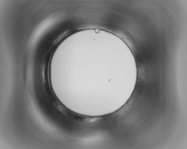 X0000112531150200908171139