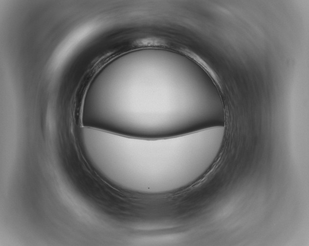X0000112531151200908171139