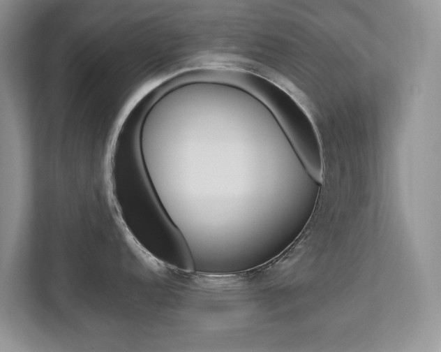 X0000112531152200908171139