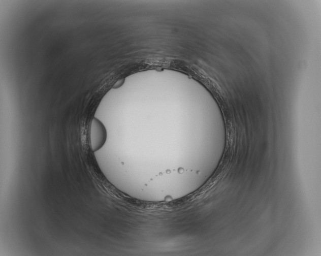 X0000112531154200908171139