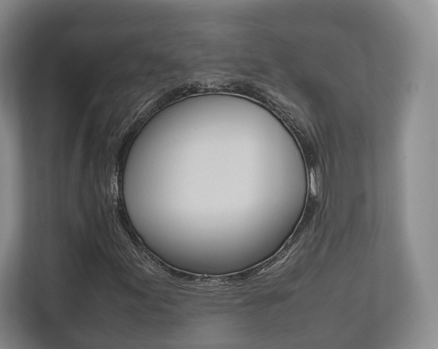 X0000112531155200908171139