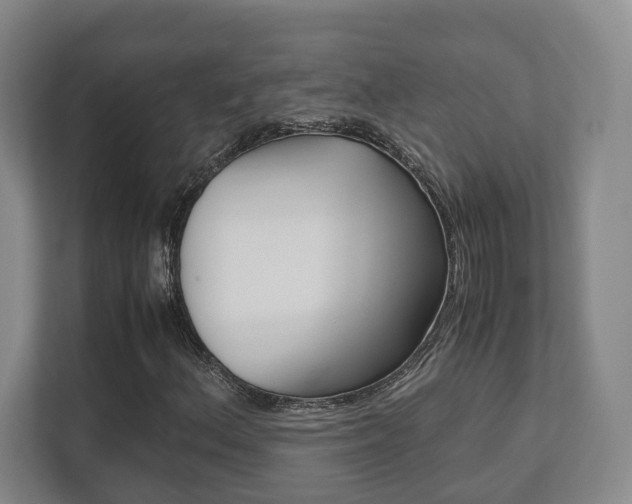 X0000112531156200908171139