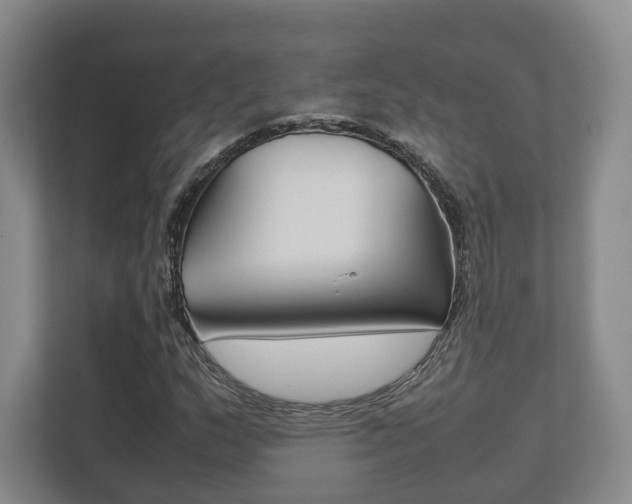 X0000112531159200908171139