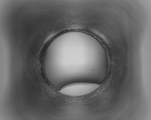 X0000112531160200908171139
