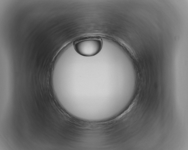 X0000112531162200908171139