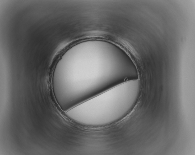 X0000112531164200908171139
