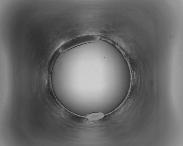 X0000112531165200908171139
