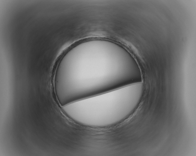 X0000112531168200908171139