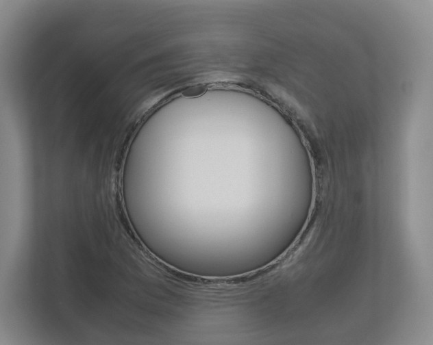 X0000112531169200908171139