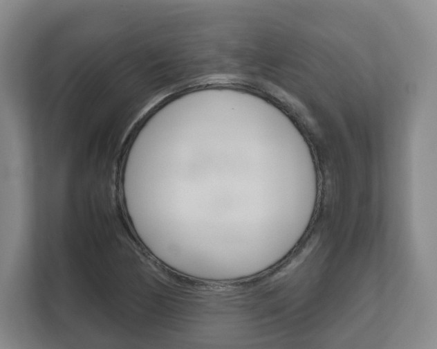 X0000112531170200908171139