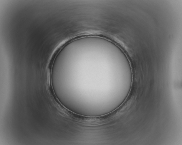 X0000112531171200908171139