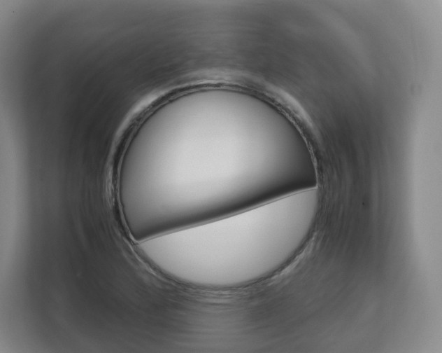 X0000112531172200908171139