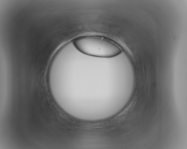 X0000112531173200908171139