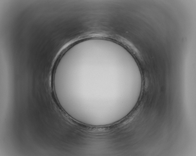 X0000112531174200908171139