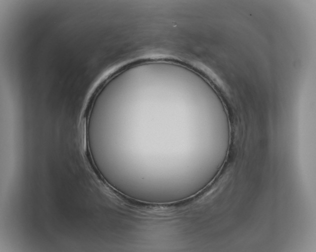 X0000112531175200908171139