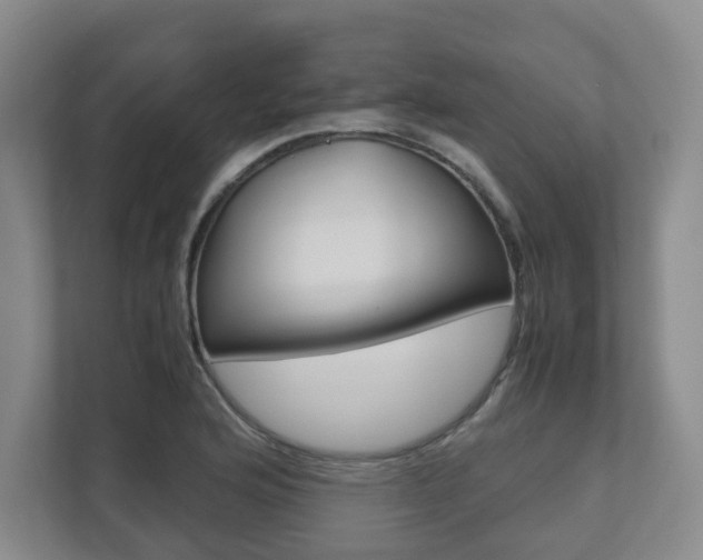 X0000112531176200908171138