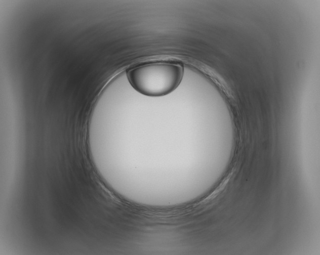 X0000112531177200908171138